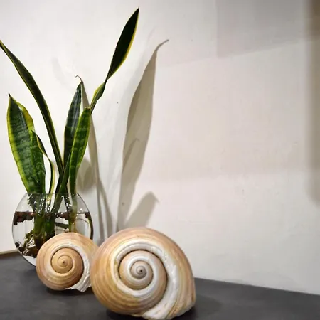 Elenoire Corsano (Apulia)