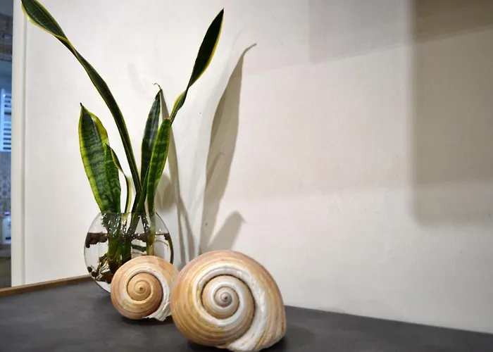 Elenoire Corsano (Apulia)